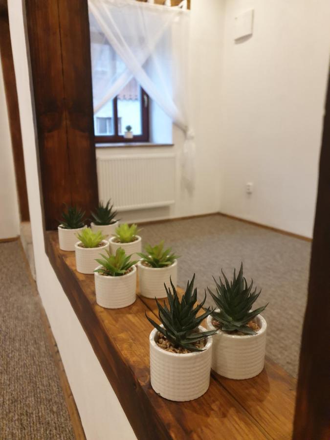 Apartamento U Mikesu Vyšší Brod Exterior foto