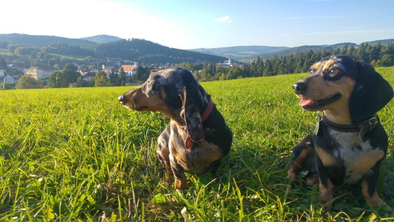 Apartamento U Mikesu Vyšší Brod Exterior foto